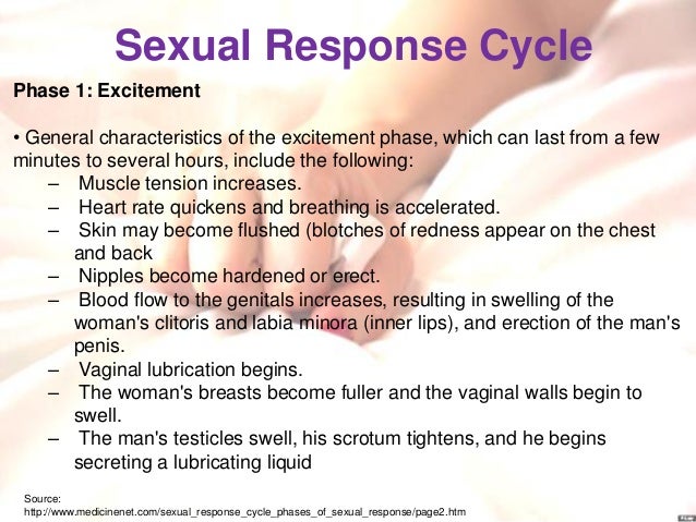phases in male sexual activity Penis size and vagina size